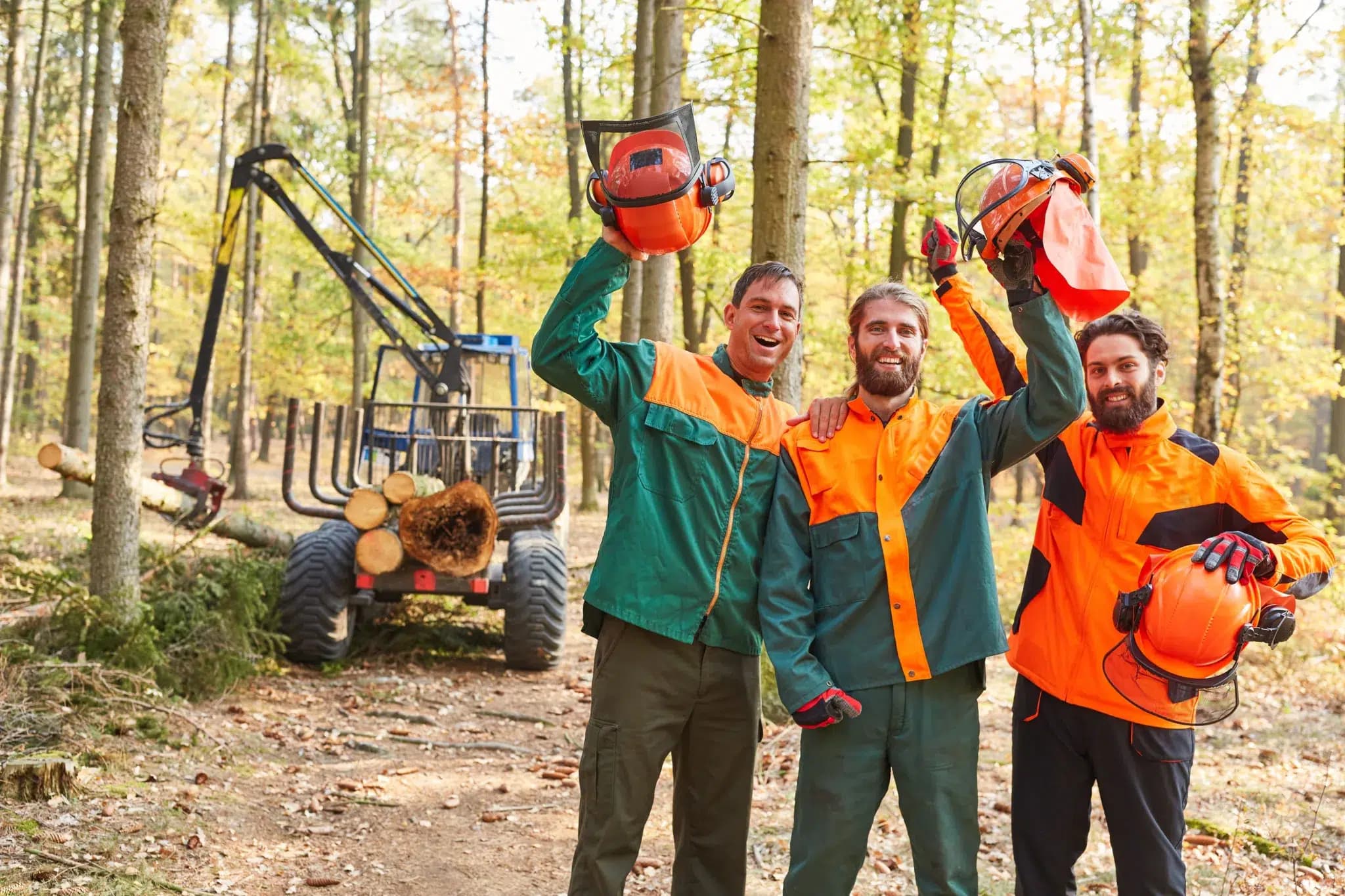 Sägekettenöle: Ein umfassender Leitfaden